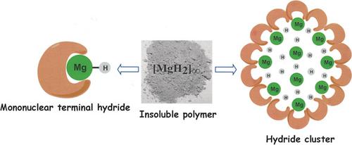 分子氢化镁,Angewandte Chemie International Edition - X-MOL