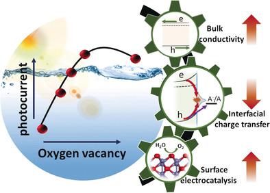 Understanding the Roles of Oxygen Vacancies in Hematite‐Based ...