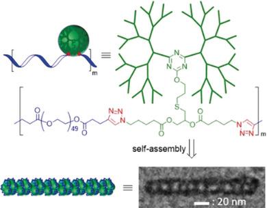 线性-树枝状交替共聚物,Angewandte Chemie International Edition - X-MOL