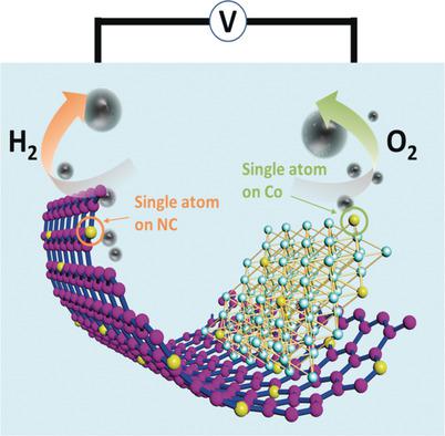 General π‐Electron‐Assisted Strategy for Ir, Pt, Ru, Pd, Fe, Ni Single ...