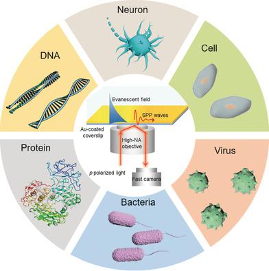 Surface Plasmon Resonance Microscopy: From Single-Molecule Sensing to ...