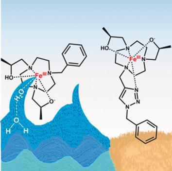 A Class of FeIII Macrocyclic Complexes with Alcohol Donor Groups as ...