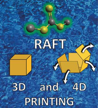Flash Print Raft A Versatile 3D and 4D Printing System through Photocontrolled RAFT ...