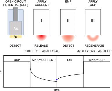 A Solid-State Reference Electrode Based on a Self-Referencing Pulstrode ...