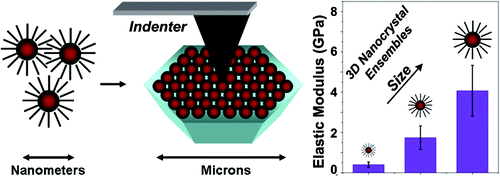 The Role of Order, Nanocrystal Size, and Capping Ligands in the ...