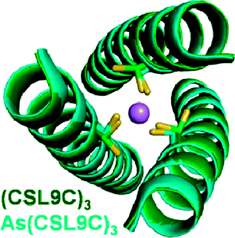 Structural Comparisons of Apo- and Metalated Three-Stranded Coiled ...