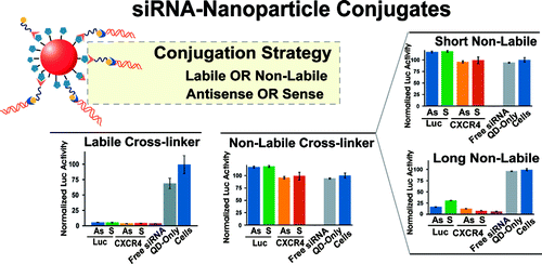 Effect of Nanoparticle Conjugation on Gene Silencing by RNA ...