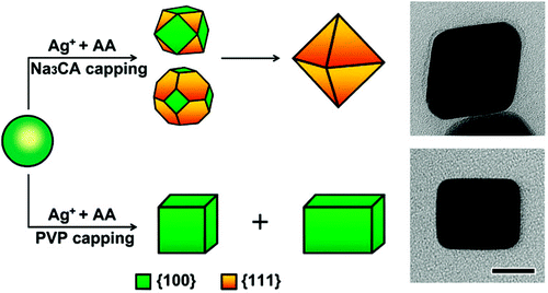 Controlling the Shapes of Silver Nanocrystals with Different Capping ...