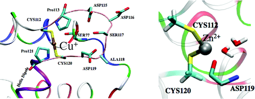 Electronic Properties and Desolvation Penalties of Metal Ions Plus ...
