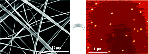 自组装肽纳米管的基本构建块,Journal of the American Chemical Society - X-MOL