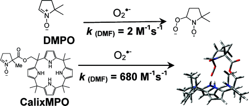Fast Reactivity of a Cyclic Nitrone−Calix[4]pyrrole Conjugate with ...