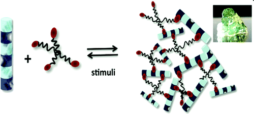 Stimuli-Responsive Smart Gels Realized via Modular Protein Design ...