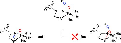 Theoretical Study on the Mechanism of the Oxygen Activation Process in ...