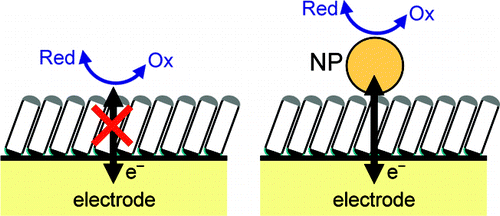 On the Origin of the Efficient Nanoparticle Mediated Electron Transfer ...