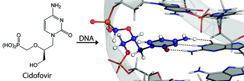 Solution Structure of a DNA Duplex Containing the Potent Anti-Poxvirus ...