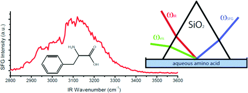 亲水性 SiO2 和疏水性氘代聚苯乙烯表面界面氨基酸的 SFG 研究,Journal of the American Chemical ...