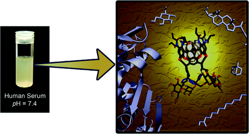 A Carbohydrate-Conjugated Deep Cavitand Permits Observation of ...