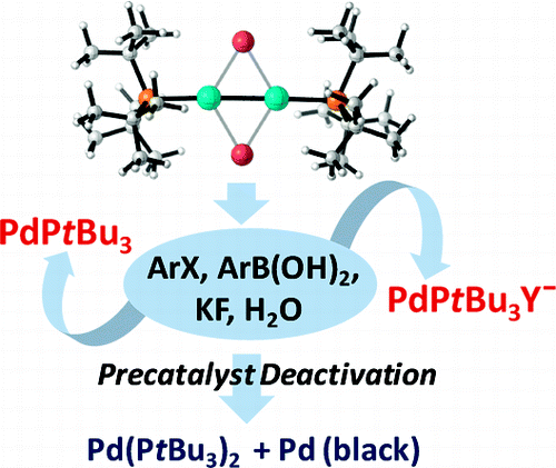 Reactivity and Stability of Dinuclear Pd(I) Complexes: Studies on the ...