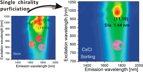 Single Chirality Extraction of Single-Wall Carbon Nanotubes for the ...