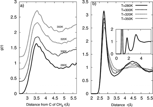 Hydroids On Rope Long-Time Correlations and Hydrophobe-Modified Hydrogen-Bonding ...