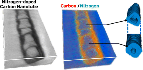 3D Analysis of the Morphology and Spatial Distribution of Nitrogen in ...