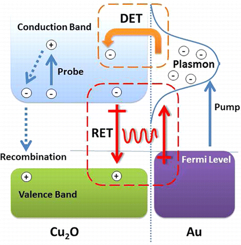 Photocatalytic Activity Enhanced by Plasmonic Resonant Energy Transfer ...