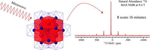 Dynamic Nuclear Polarization Enhanced Natural Abundance17O Spectroscopy ...