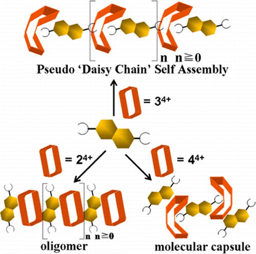 “Texas-Sized” Molecular Boxes: Building Blocks for the Construction of ...