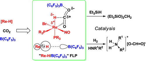 Catalytic CO2Activation Assisted By Rhenium Hydride/B(C6F5)3Frustrated ...