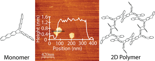 A Two-Dimensional Polymer from the Anthracene Dimer and Triptycene ...