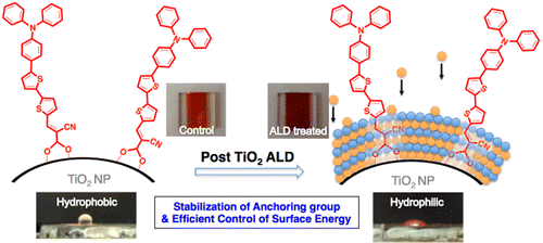 Dye Stabilization and Enhanced Photoelectrode Wettability in Water ...