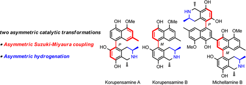 Efficient Syntheses Of Korupensamines A, B And Michellamine B By ...