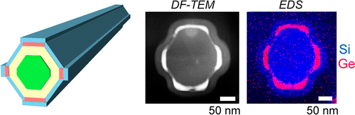 Facet-Selective Growth on Nanowires Yields Multi-Component ...