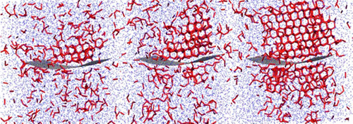 碳表面冰的异质成核,Journal of the American Chemical Society - X-MOL
