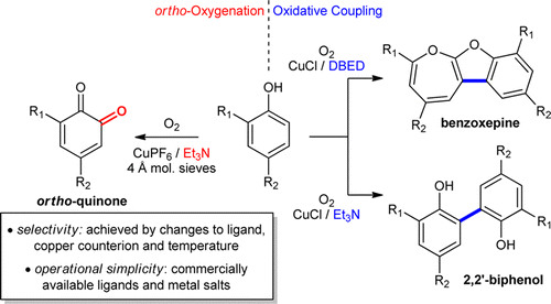 Controlling the Catalytic Aerobic Oxidation of Phenols,Journal of the ...