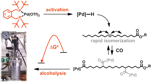 A Comprehensive Mechanistic Picture of the Isomerizing ...