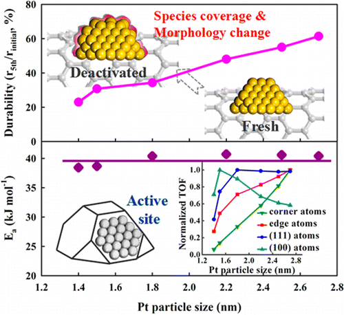 Mechanistic Insight Into Size-Dependent Activity And Durability In Pt ...