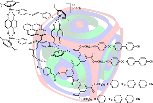 从含芘基的树枝状大分子和芳烃钌金属环设计超分子液晶杂化物,Journal of the American Chemical Society ...