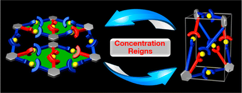 Probing a Hidden World of Molecular Self-Assembly: Concentration ...