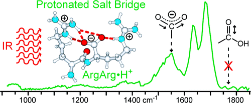 Structures of Protonated Dipeptides: The Role of Arginine in ...