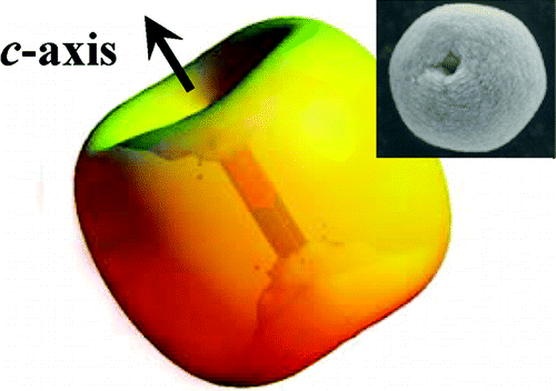 Intrinsic Dipole-Field-Driven Mesoscale Crystallization of Core−Shell ...