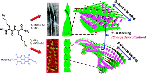 Self-Assembly of 1-Dn-Type Nanostructures Based on Naphthalene Diimide ...