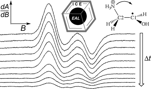 Kinetic Isolation And Characterization Of The Radical Rearrangement ...