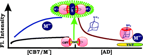 Cooperative Metal Ion Binding to a Cucurbit[7]uril−Thioflavin T Complex ...