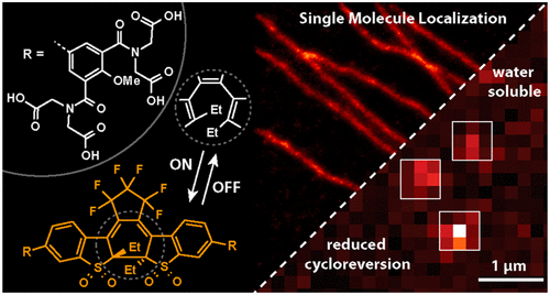 Fluorescent Photoswitchable Diarylethenes for Biolabeling and Single ...