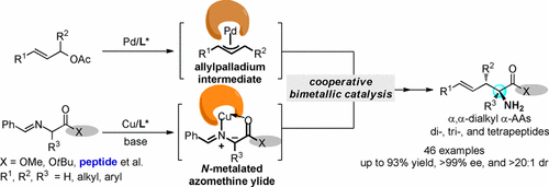 Stereoselective and Site-Specific Allylic Alkylation of Amino Acids and ...