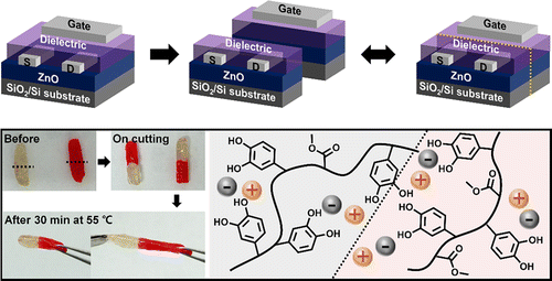 Self-Healing Polymer Dielectric for a High Capacitance Gate Insulator ...