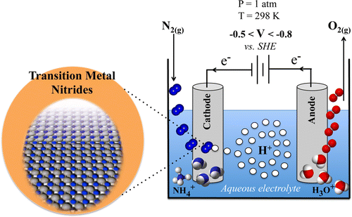 Electroreduction Of N2 To Ammonia At Ambient Conditions On Mononitrides Of Zr Nb Cr And V A Dft Guide For Experiments Acs Catalysis X Mol