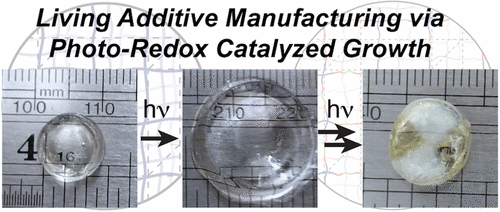 Living Additive Manufacturing: Transformation of Parent Gels into ...
