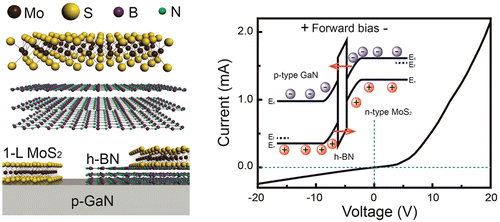 Semiconductor Insulator Semiconductor Diode Consisting Of Monolayer Mos2 H Bn And Gan Heterostructure Acs Nano X Mol